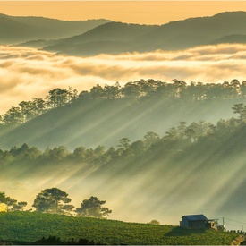 Best Time to Visit Dalat: When to Go & Monthly Weather Averages