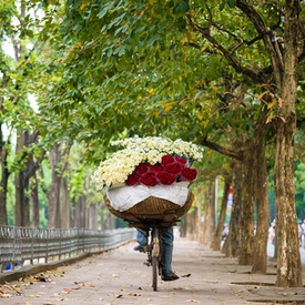 7 Reasons To Fall In Love With Hanoi