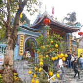 Bao Ha Temple Festival