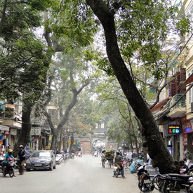 Hang Chieu - Street Of Mats