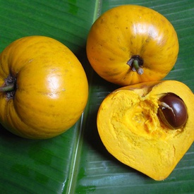 Lucuma