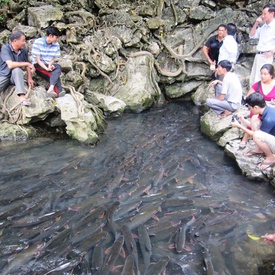 The God Fish Procession