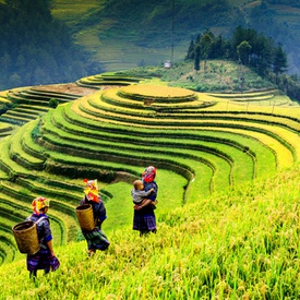 Best of Northern Vietnam