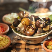 Snails & The Essence of Saigon's Street Food