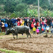 Xuong Dong - Festival of Muong people