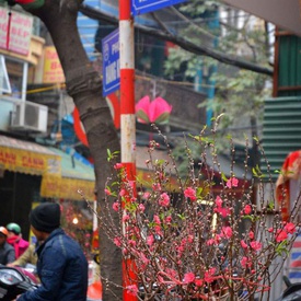 Hang Luoc - Street Of Combs