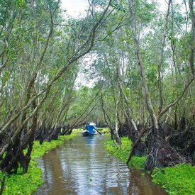 5 Reasons Why You Should Consider A Mekong Delta Trip