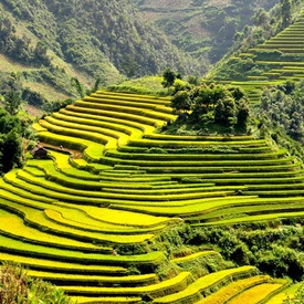 Best Time to Visit Yen Bai