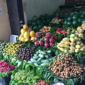 Grocery Costs