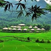 Mai Chau