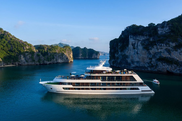Stellar of the Seas - Hot Deal 2024