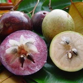 Star Apple