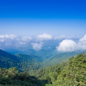 Tam Dao National Park