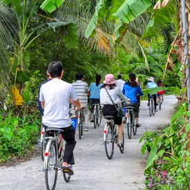 Cycling & Trekking