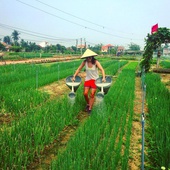 5 Best Things To Do In Hoi An