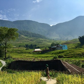 Ancient Stone Field in Sapa