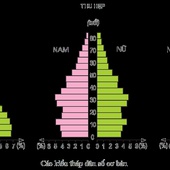 Vietnam Population