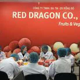 Red Dragon Service Trading Production Co.,Ltd