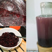 Red Glutinous Rice Wine