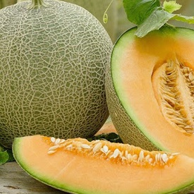 Muskmelon