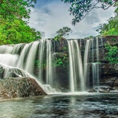 Tranh Stream