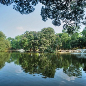Bach Thao Park - Hanoi Botanical Garden