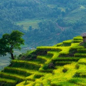 Lao Cai mentioned in Top 5 Southeast Asia’s natural wonders by Forbes