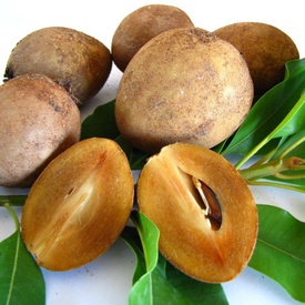 Sapodilla