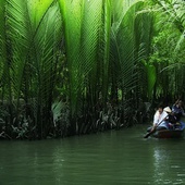 Vam Ho Bird Sanctuary