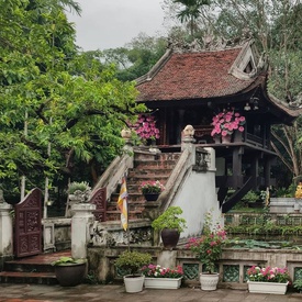 Vietnam Fine Arts - Overview