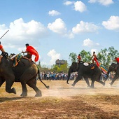 Elephant Racing Festival in Dak Lak