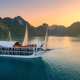 Sena Cruise - Special Summer Deal