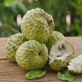 Sugar-apple