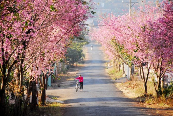 vietnam travel during tet