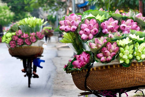 Flower Vendor in Hanoi