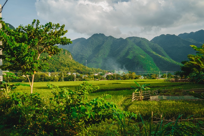 Mai Chau